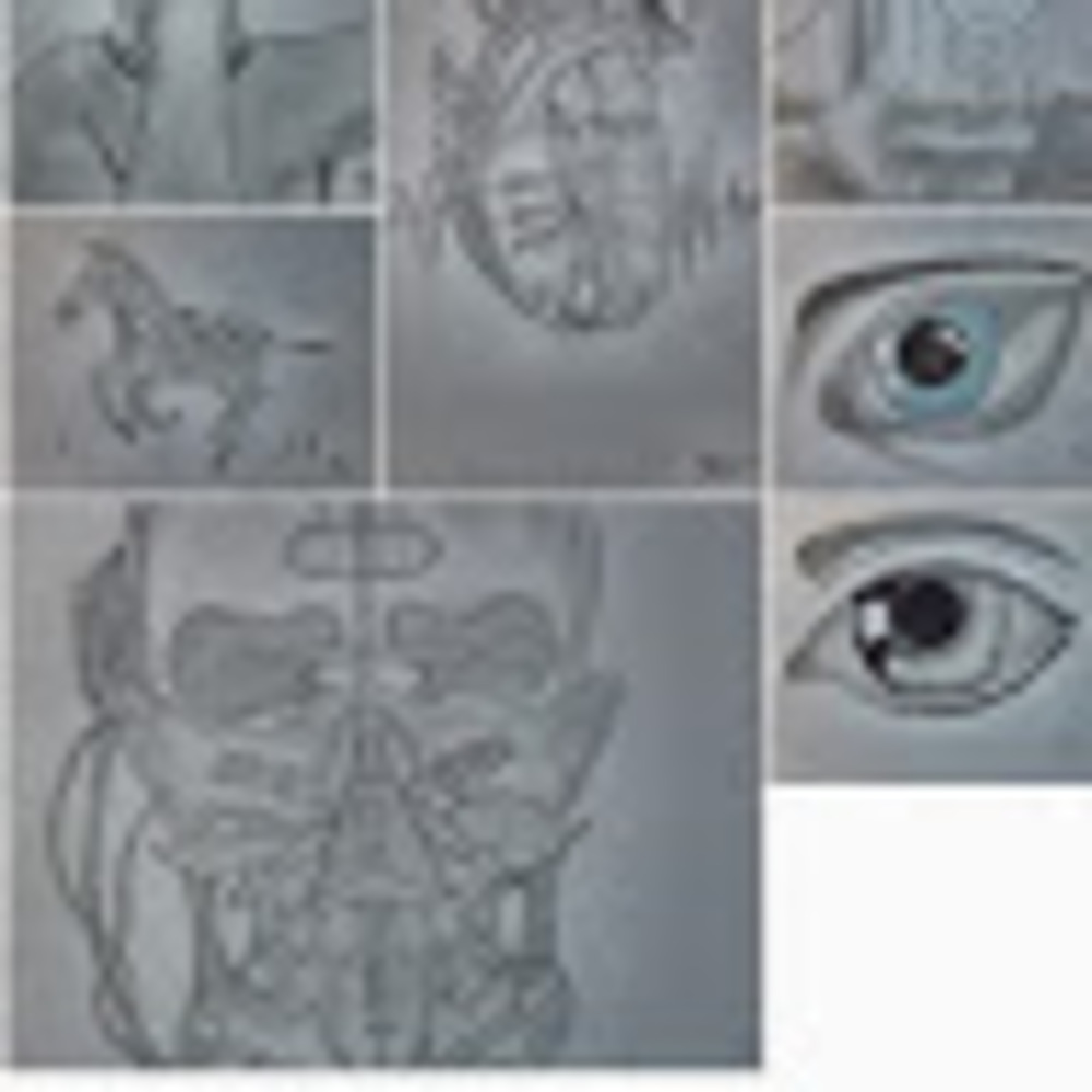 Meet your Posher, Eden